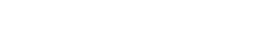 Wordmark (Pure White)
